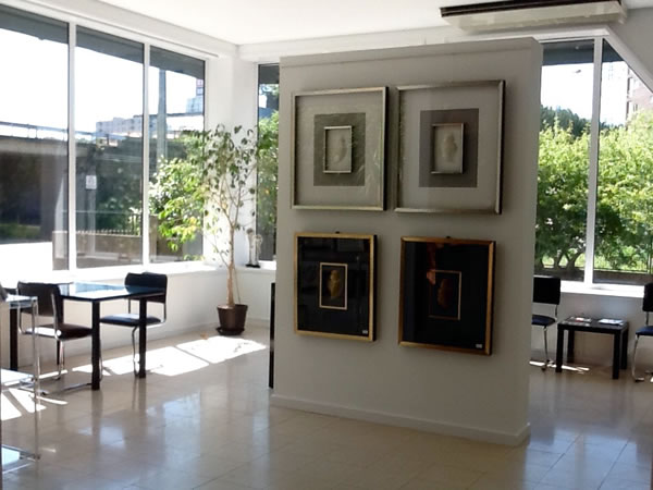 Showroom Ropro